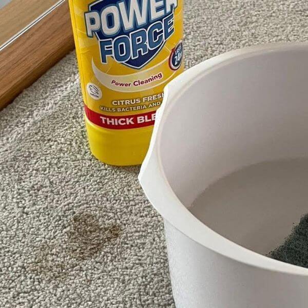 Pet accident on a stain resistant carpet! Bottle of bleach nearby.