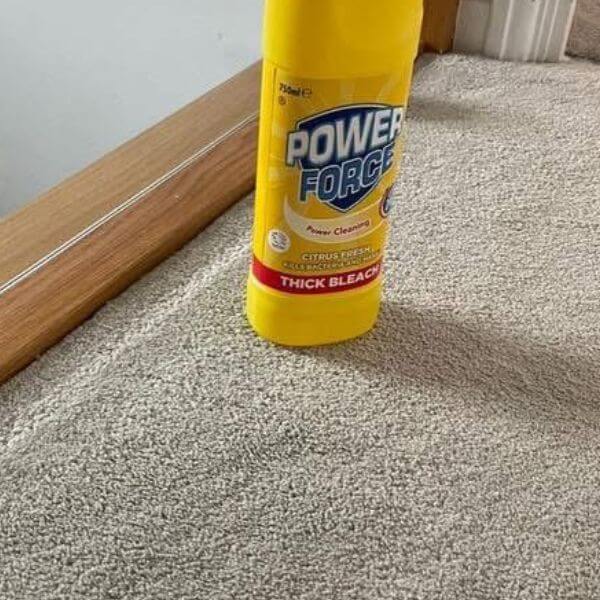 Bleach cleanable stain resistant carpet after a pet accident has been removed! All clear!